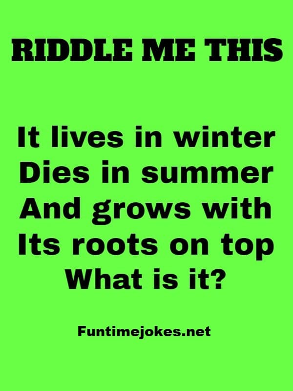 It Lives In Winter Dies In Summer And Grows With Its Roots On Top